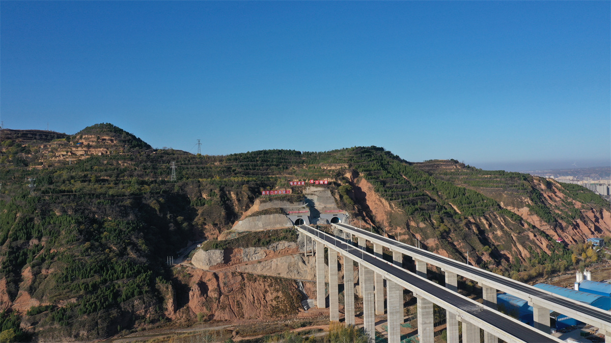 靈寶項目 (2).jpg